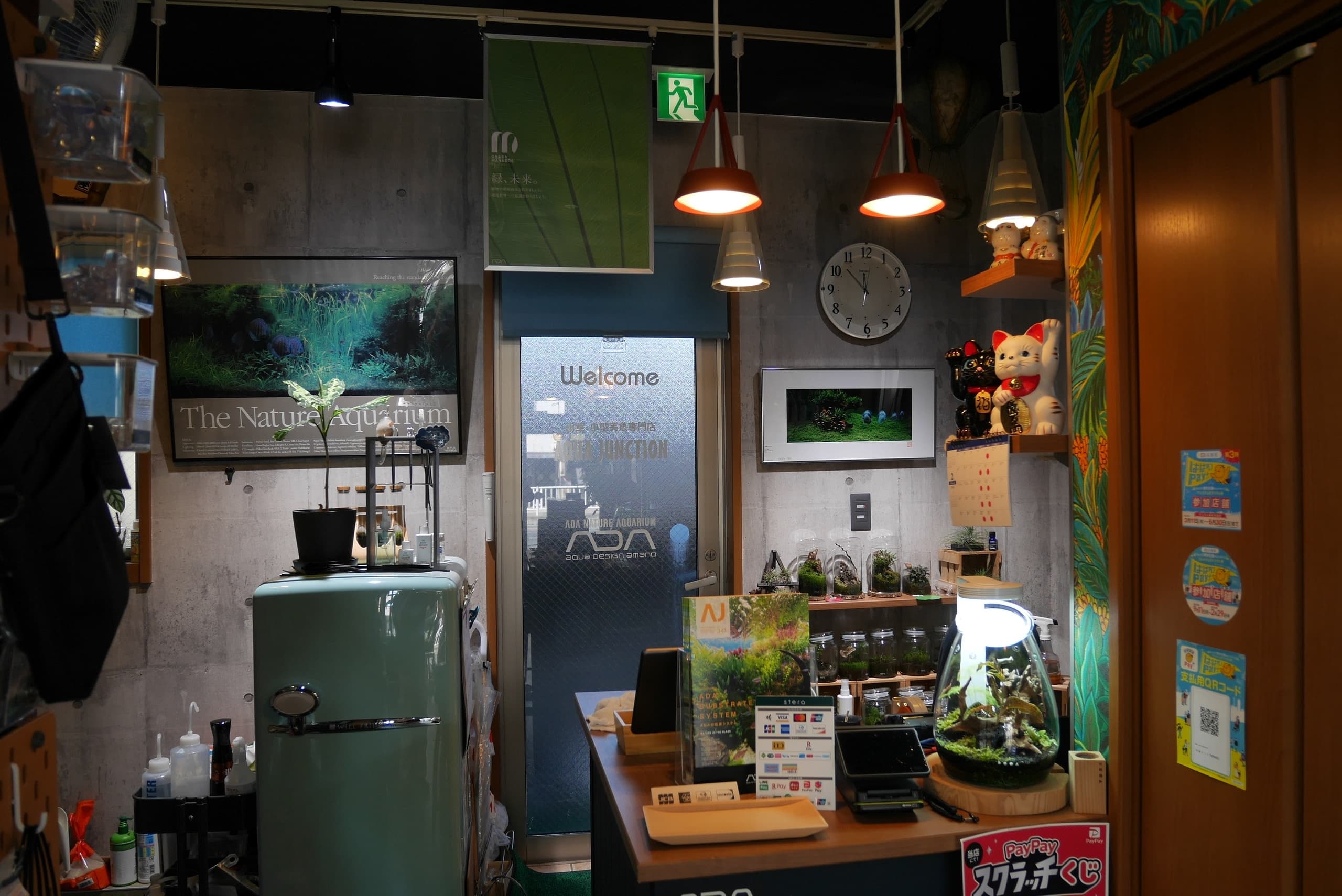 p1360524.jpg